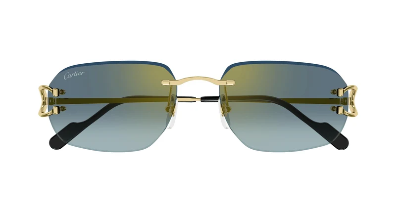 Cartier CT0468S 003 58