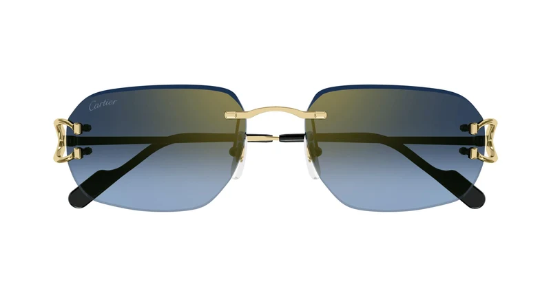 Cartier CT0468S 002 58