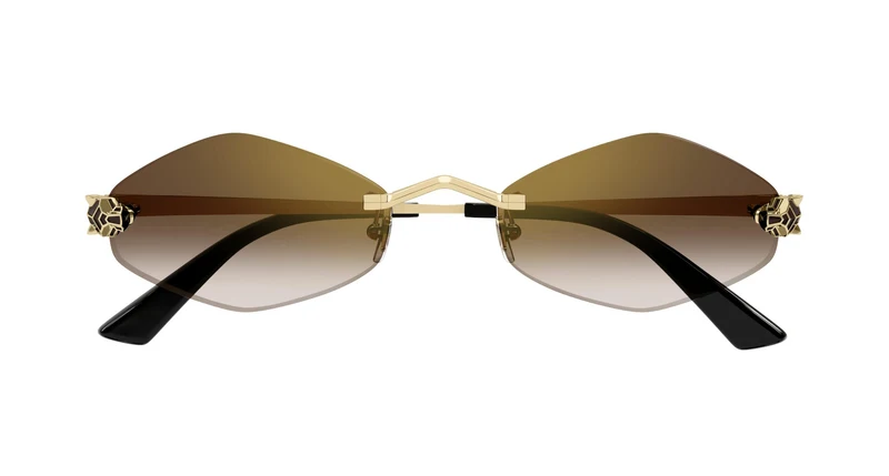 Cartier CT0433S 002 55