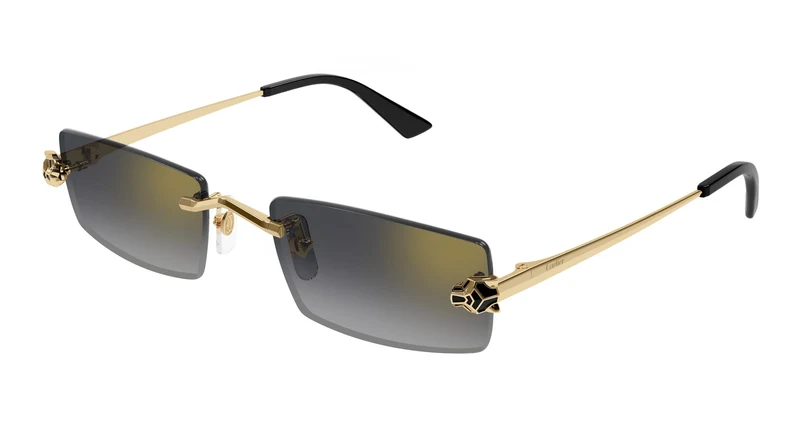 Cartier CT0598S 001 55