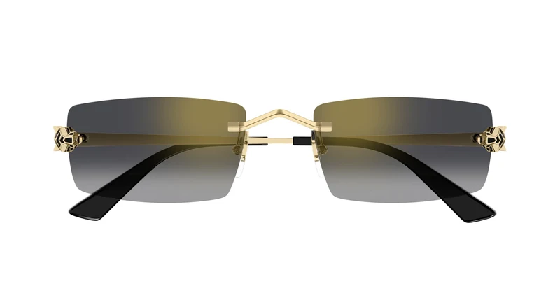 Cartier CT0598S 001 55