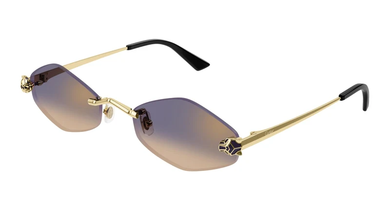 Cartier CT0433S 005 55
