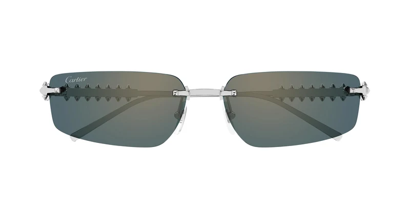 Cartier CT0544S 004 58
