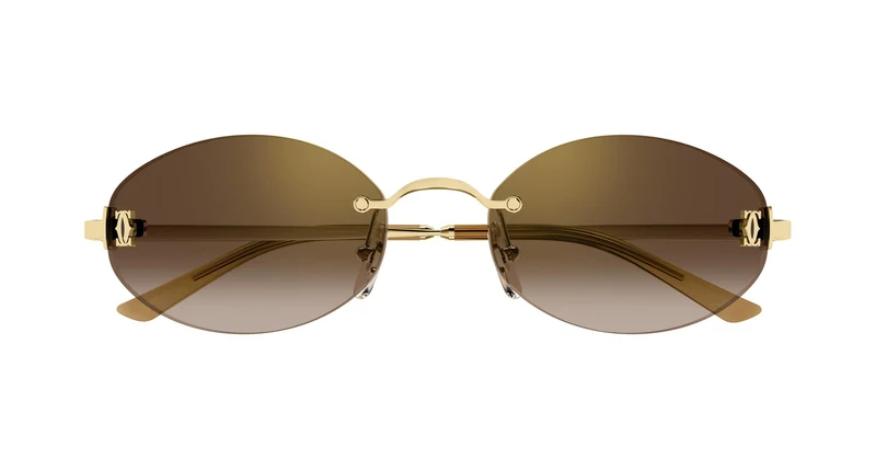 Cartier CT0592S 002 55