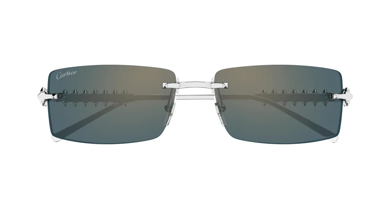 Cartier CT0604S 005 57