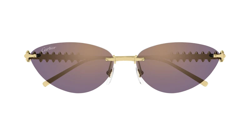 Cartier CT0543S 004 58