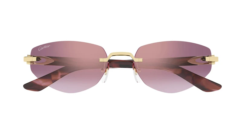 Cartier CT0580S 002 56