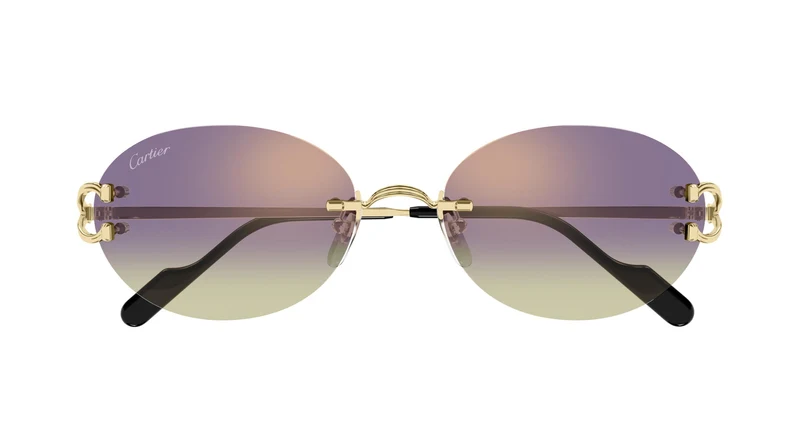 Cartier CT0551S 006 55