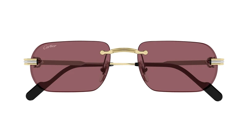 Cartier CT0577S 004 55