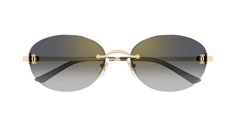 Cartier CT0642SA 001 54