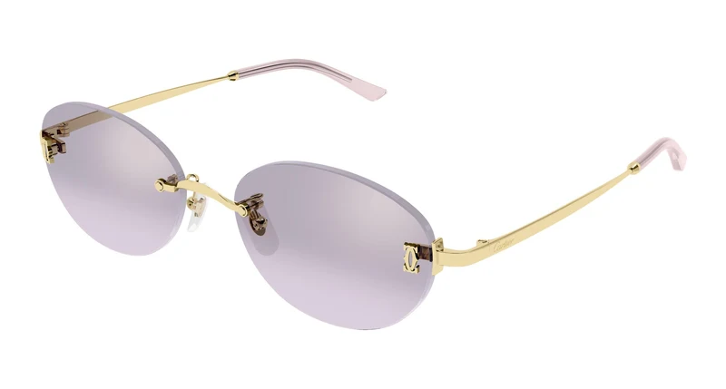 Cartier CT0642SA 003 54