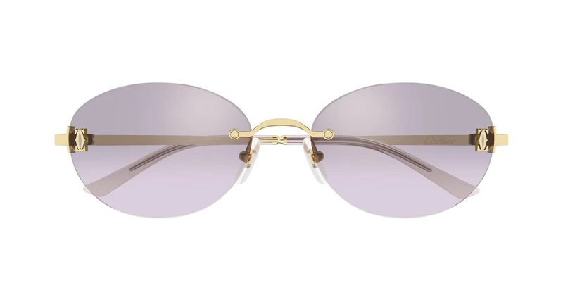 Cartier CT0642SA 003 54