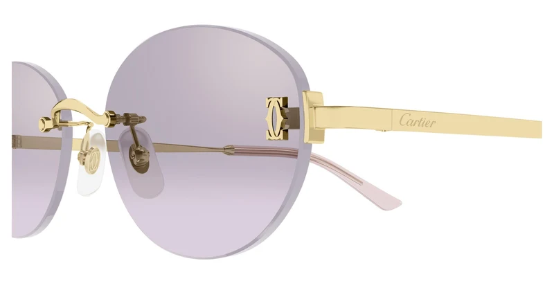 Cartier CT0642SA 003 54