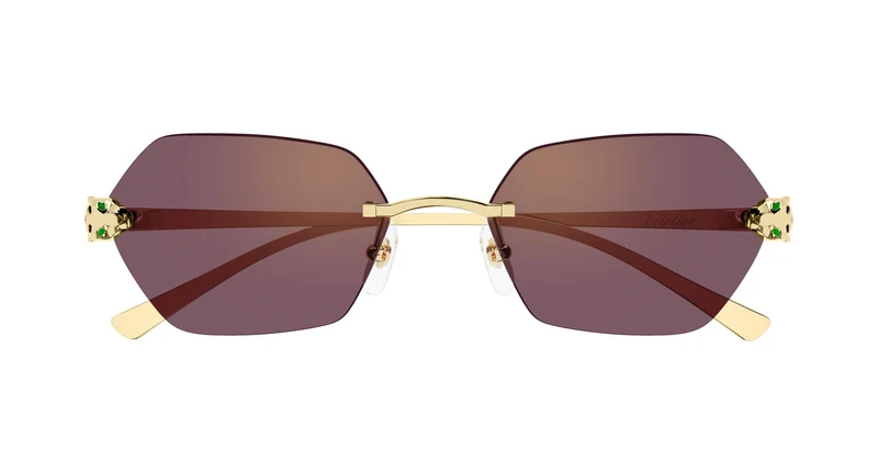 Cartier CT0636S 003 55