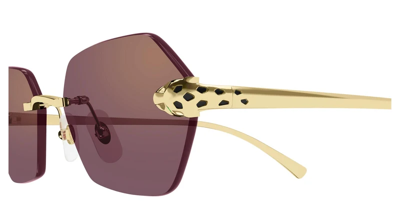 Cartier CT0636S 003 55