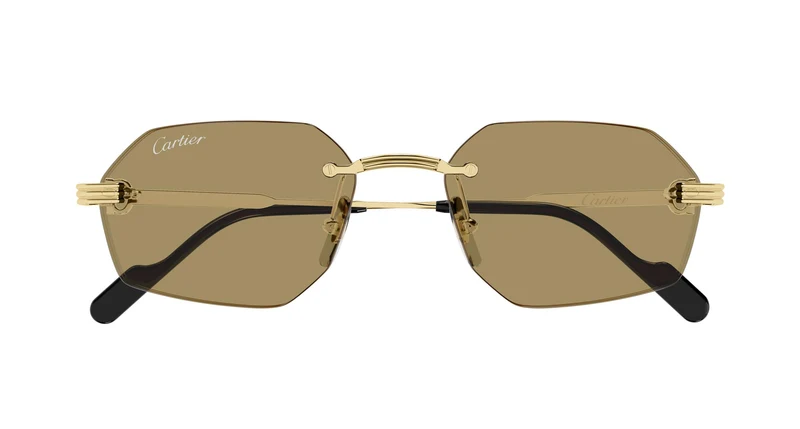 Cartier CT0616S 002 54