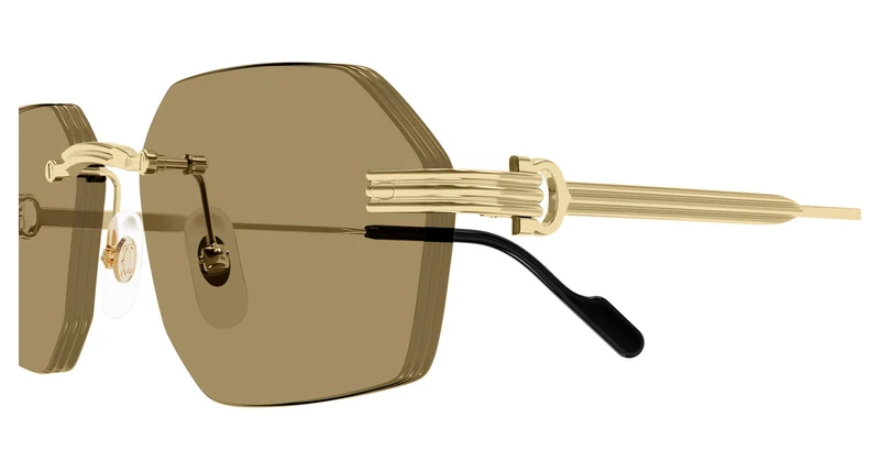 Cartier CT0616S 002 54