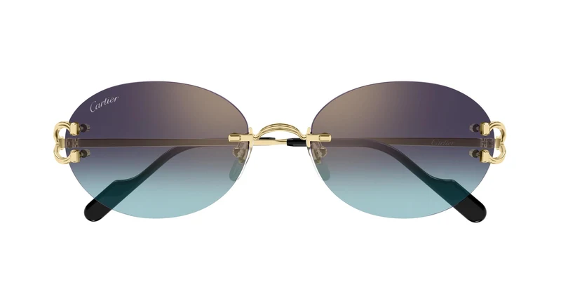 Cartier CT0551S 008 55