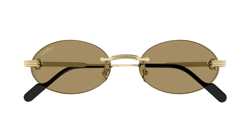 Cartier CT0615S 007 55