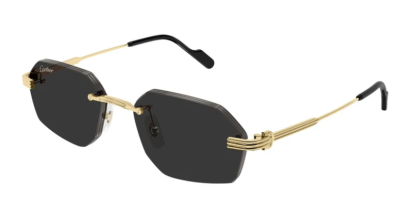 Cartier CT0616S 001 54