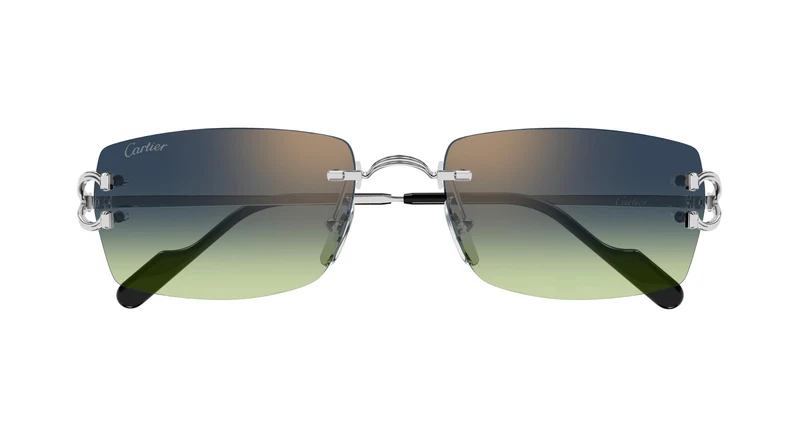 Cartier CT0550S 008 56