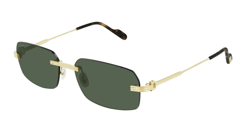 Cartier CT0271S 002 58