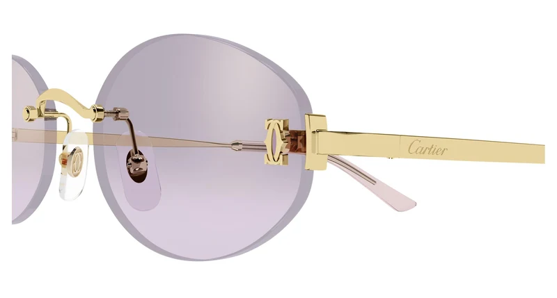 Cartier CT0592S 003 55