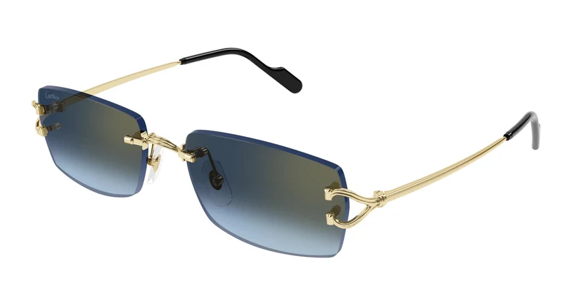Cartier CT0550S 002 56