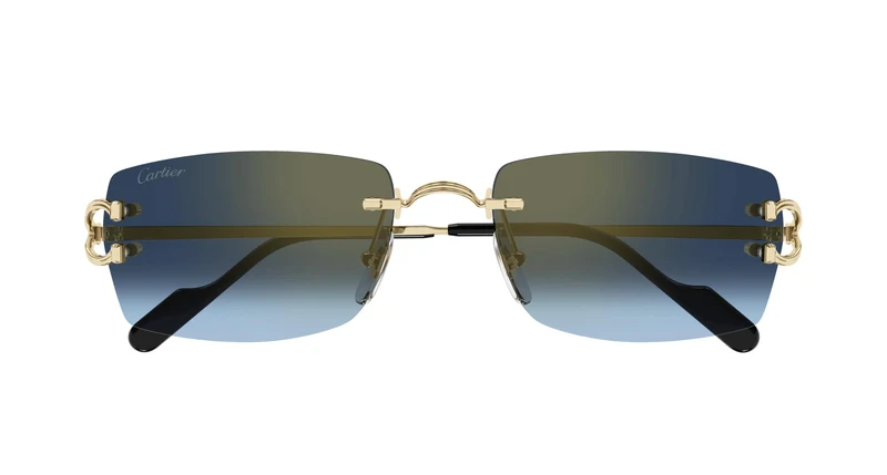 Cartier CT0550S 002 56