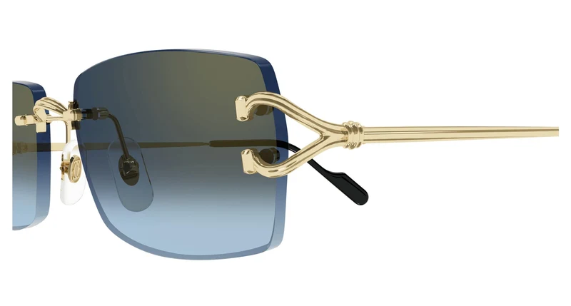 Cartier CT0550S 002 56