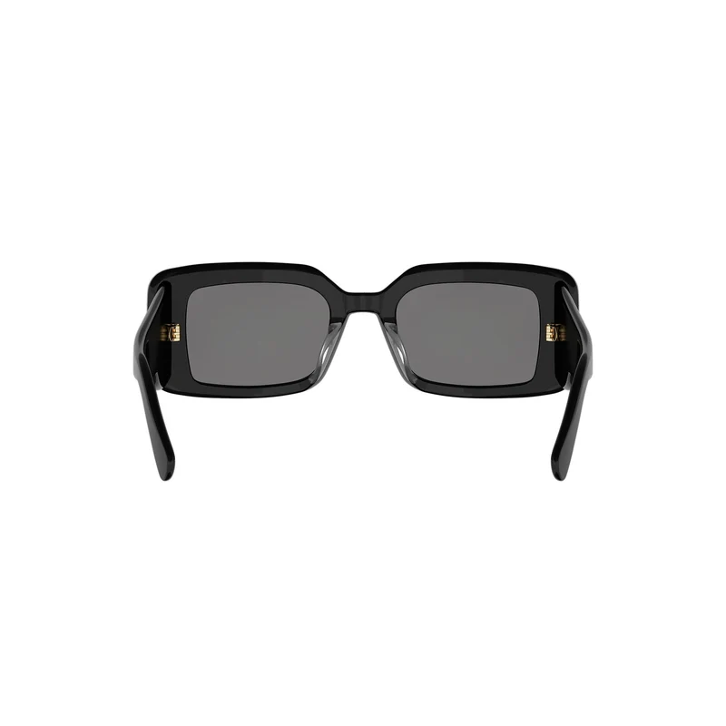DIOR DIORLUCKYCHARMS S1I CD40255I 10A0 01A 51