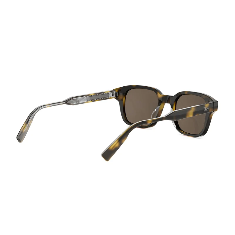 DIOR DIORIBBON S1I DM40190I 20F0 52N 48