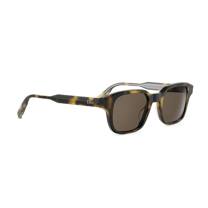 DIOR DIORIBBON S1I DM40190I 20F0 52N 48