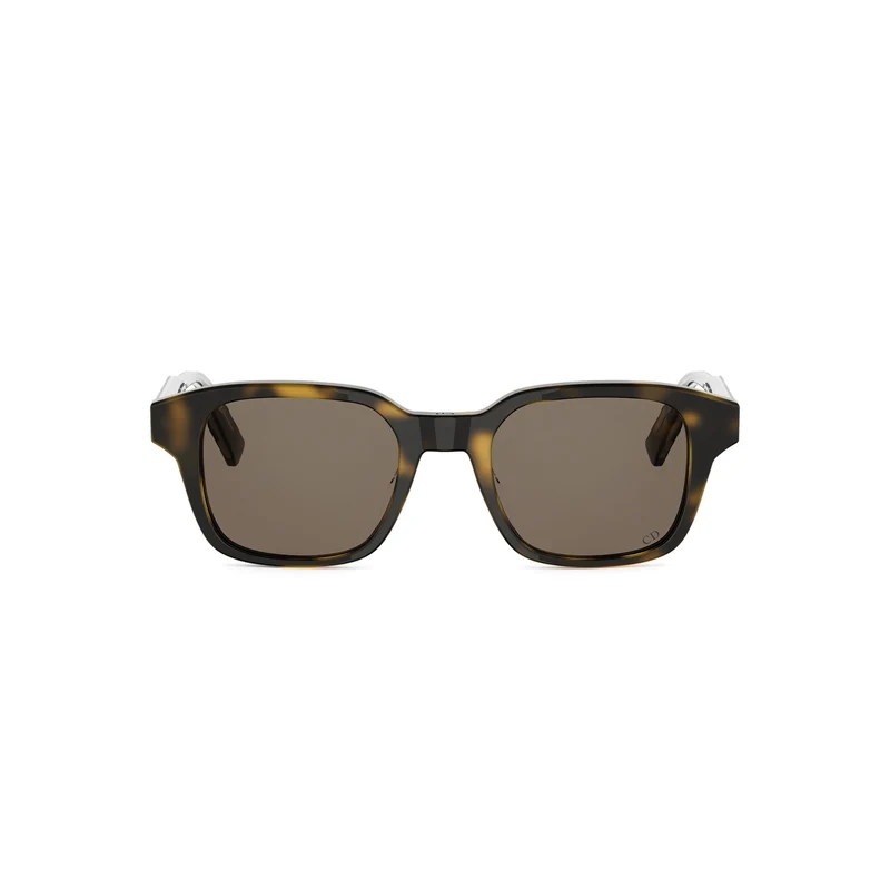 DIOR DIORIBBON S1I DM40190I 20F0 52N 48