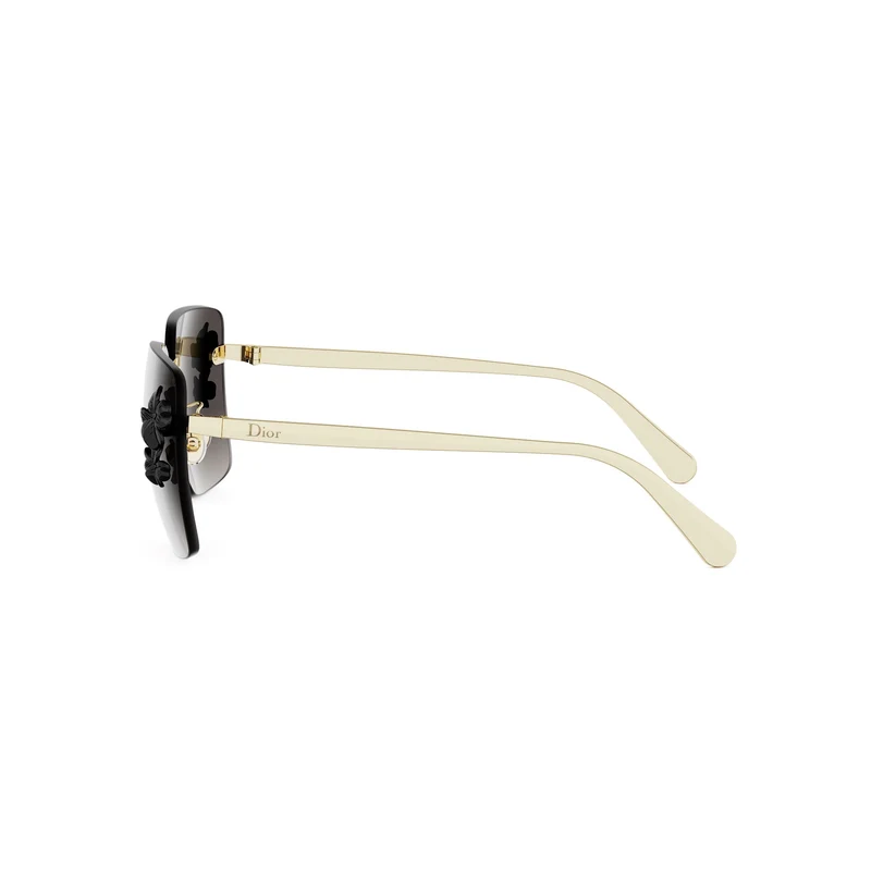 DIOR CLOVER S2U CD40249U B0A1 10B 62