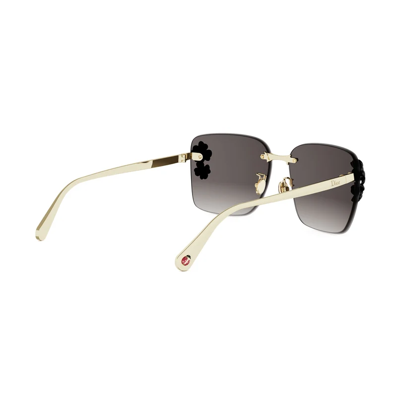 DIOR CLOVER S2U CD40249U B0A1 10B 62