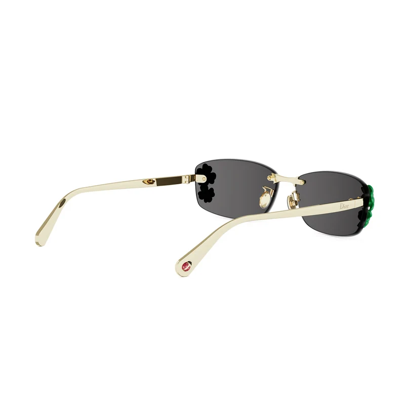 DIOR CLOVER S1U CD40248U B0A0 10A 63