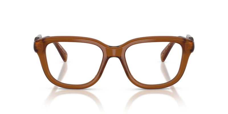 Miu Miu MU 02ZV 22I1O1 51