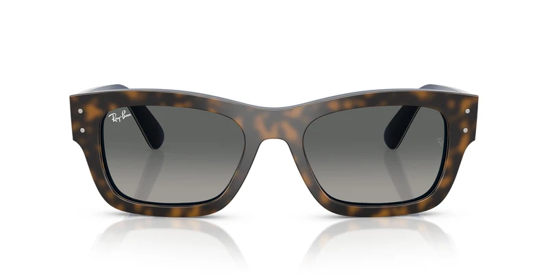 Ray-Ban RB7683S JOSEPH 140171 55