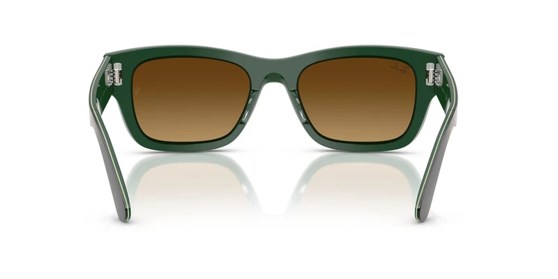 Ray-Ban RB7683S JOSEPH 140285 55