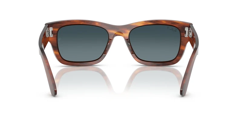 Ray-Ban RB7683S JOSEPH 954/S3 55