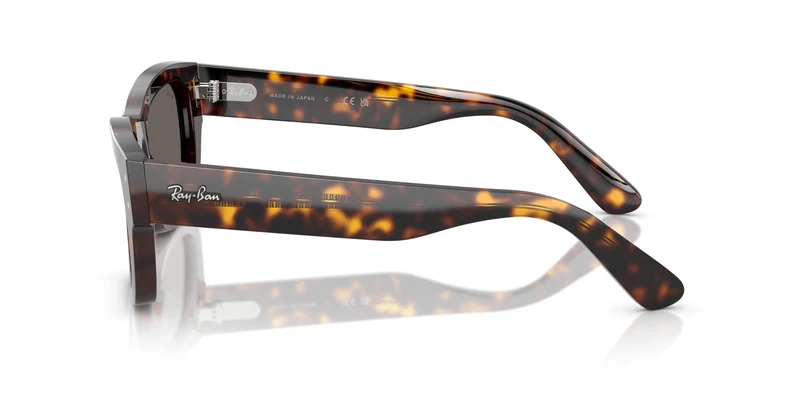 Ray-Ban RB7683S JOSEPH 902/B1 55