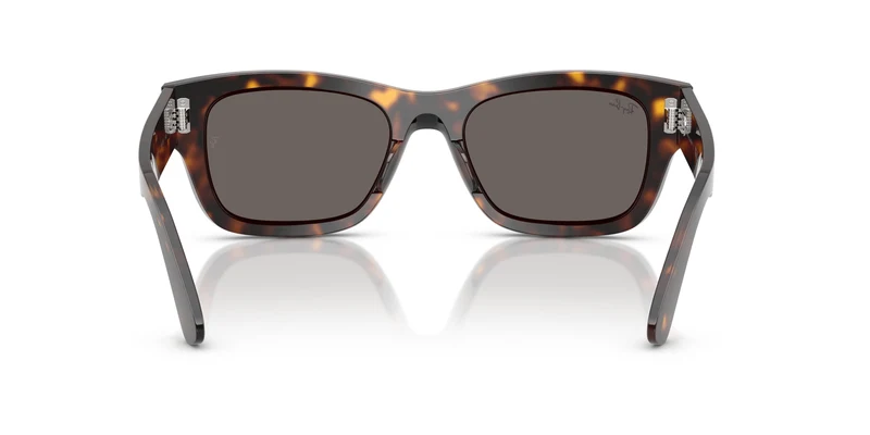 Ray-Ban RB7683S JOSEPH 902/B1 55