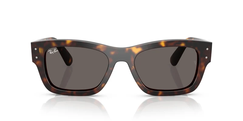 Ray-Ban RB7683S JOSEPH 902/B1 55
