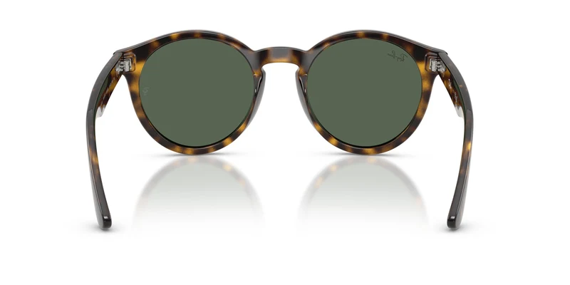 Ray-Ban RBR0505S 6790VR 52