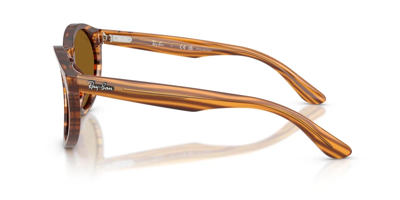 Ray-Ban RBR0505S 679183 52
