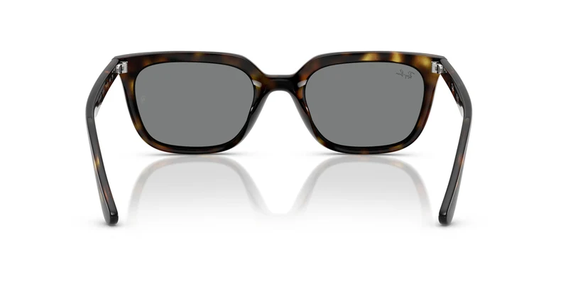 Ray-Ban RB4439D 710/87 54