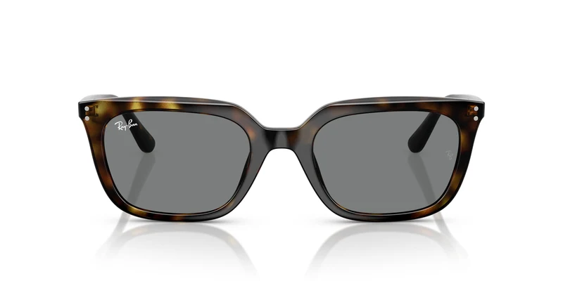 Ray-Ban RB4439D 710/87 54