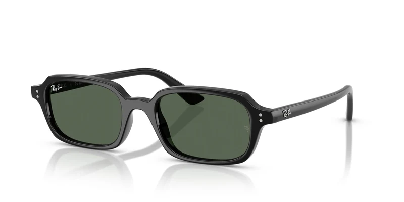 Ray-Ban RB4455 ZURI 667771 49