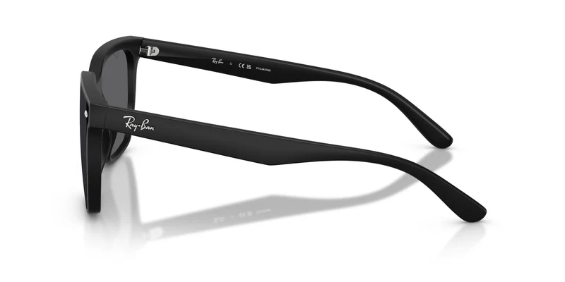 Ray-Ban RB4466D 601S81